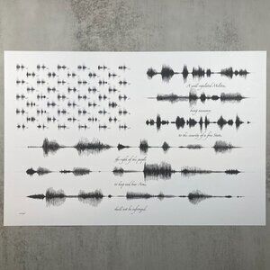 NEW Second Amendment Soundwave Flag Wall Art Print 12x18in Black White 1776